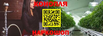 ГАЛЛЮЦИНОГЕННЫЕ ГРИБЫ Канаш