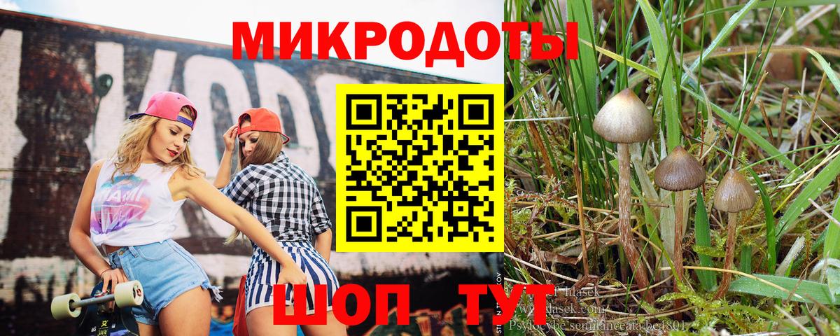 Галлюциногенные грибы мухоморы  закладки  Кузнецк  Вход с VPN 